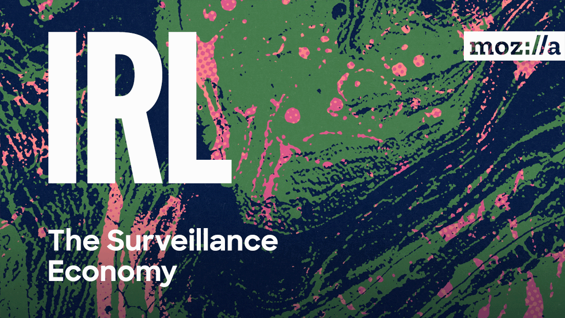 The Surveillance Economy